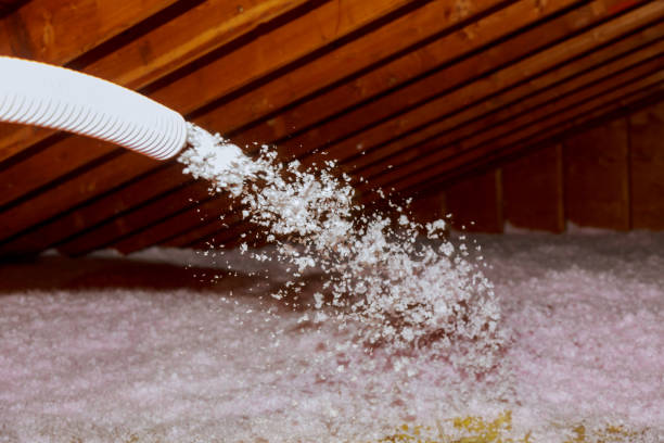 Best Local Insulation Services  in Gorman, NC