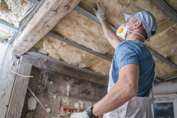 Best Home Insulation Services  in Gorman, NC