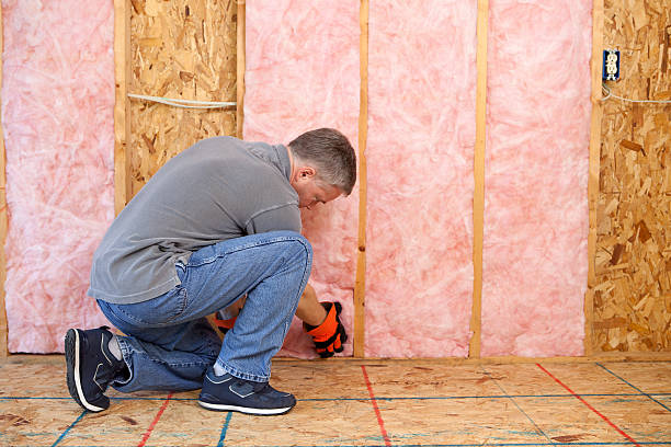 Best Insulation Removal  in Gorman, NC