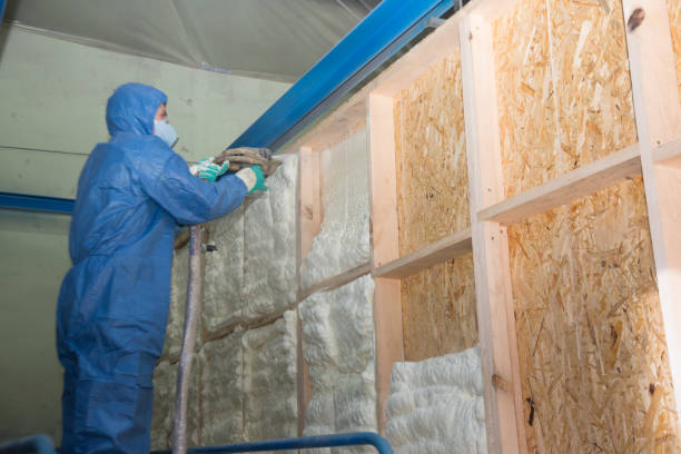 Best Energy-efficient Insulation  in Gorman, NC