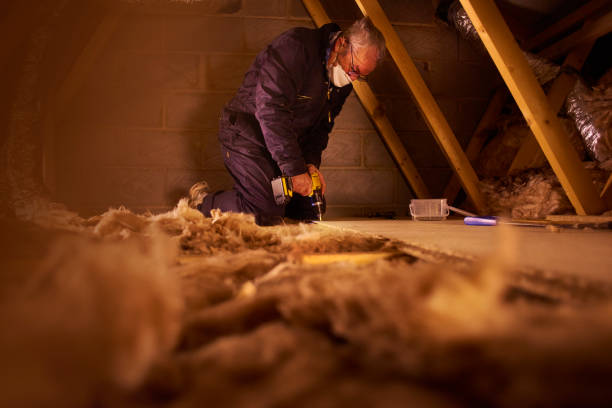 Best Home Insulation Services  in Gorman, NC